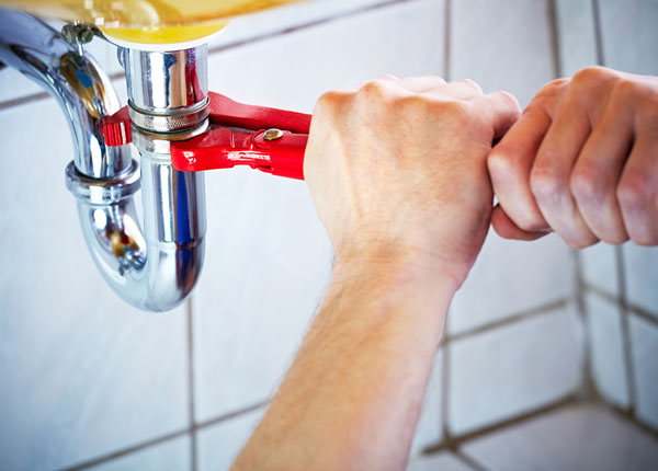 About East Prospect Plumbers